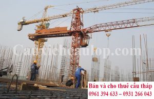 Bán và cho thuê cẩu tháp giá rẻ nhất Hà Nội