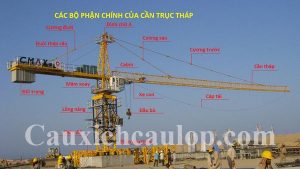 Cẩu tháp là gì? Cấu tạo, công dụng và phân loại cần trục tháp