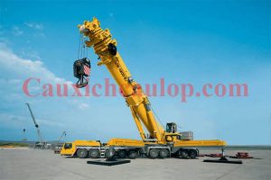 Cẩu lốp cao to khỏe nhất thế giới