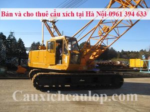 Danh sách cẩu xích bán và cho thuê tháng 8 năm 2017