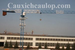 Cho thuê cẩu tháp Topsky T5513-6